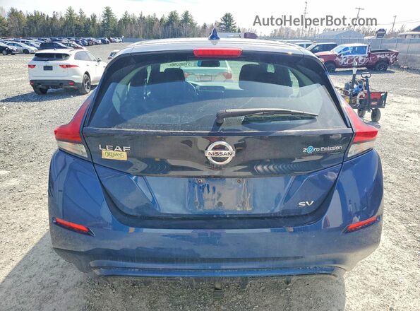 1N4AZ1CP6KC304496 2019 NISSAN LEAF Синий Вид сзади