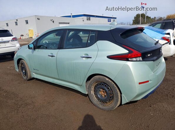 1N4AZ1CP8JC310671 2018 NISSAN LEAF Green Հետևի ձախ