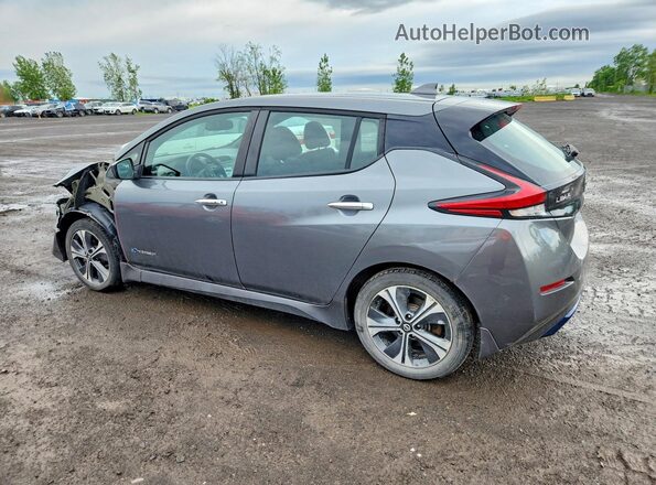 1N4AZ1CP8JC312792 2018 NISSAN LEAF Gray Задня ліва чверть