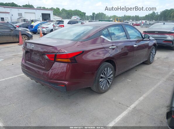 1N4BL4DV3SN364129 2025 NISSAN ALTIMA Темно-бордовый 