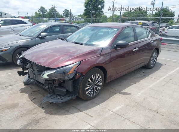 1N4BL4DV3SN364129 2025 NISSAN ALTIMA Темно-бордовый 