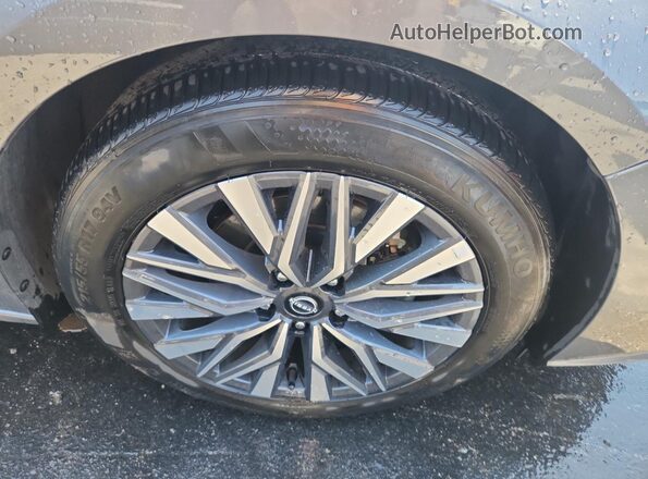 1N4BL4DV4SN397186 2025 NISSAN ALTIMA Серый 