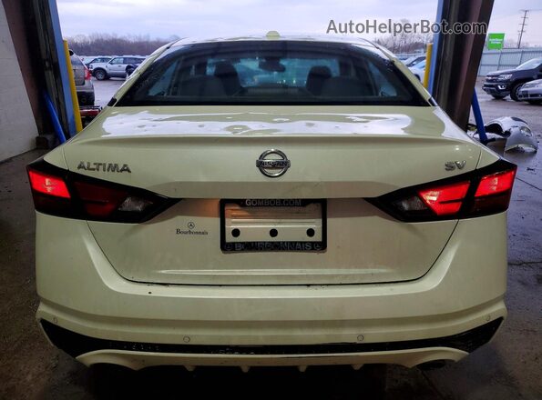 1N4BL4DV6LC249585 2020 NISSAN ALTIMA Белый Вид сзади