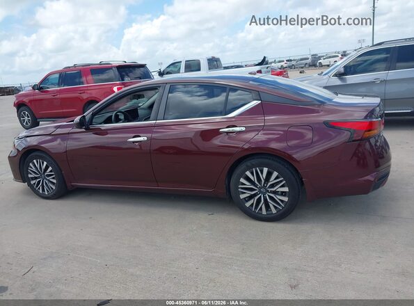 1N4BL4DV7RN357971 2024 NISSAN ALTIMA Бордовый Панорамный вид салона 360°