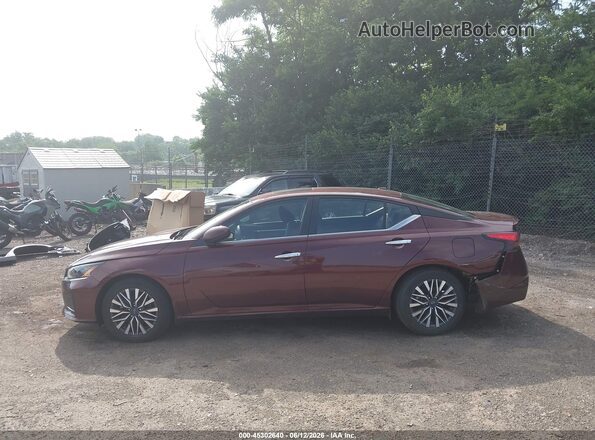 1N4BL4DW2PN400229 2023 NISSAN ALTIMA Burgundy 