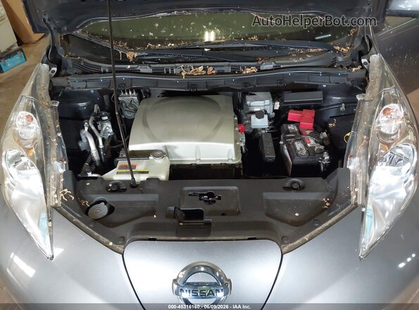 1N4BZ0CPXGC312848 2016 NISSAN LEAF Серый Вид сзади