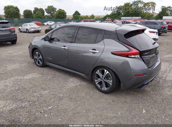 1N4BZ1CP1KC309741 2019 NISSAN LEAF Gray Հետևի ձախ
