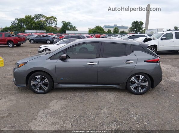 1N4BZ1CP1KC309741 2019 NISSAN LEAF Gray Սալոնի 360 աստիճան տեսք