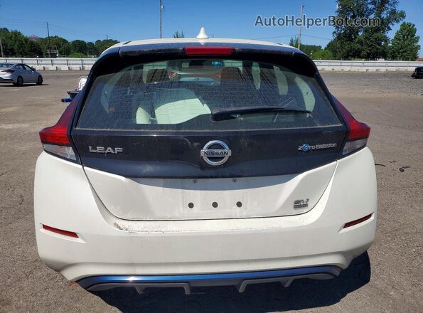 1N4BZ1CP9KC321538 2019 NISSAN LEAF White Rear view