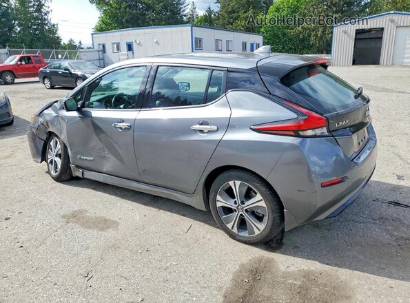 1N4BZ1CPXKC309690 2019 NISSAN LEAF Gray უკანა მარცხენა