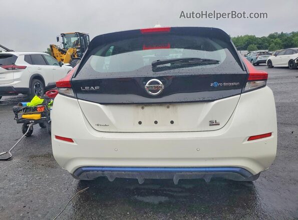 1N4BZ1DP0LC303624 2020 NISSAN LEAF White 