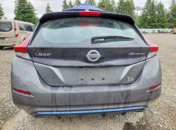 1N4BZ1DP8LC309803 2020 NISSAN LEAF Gray Вид ззаду