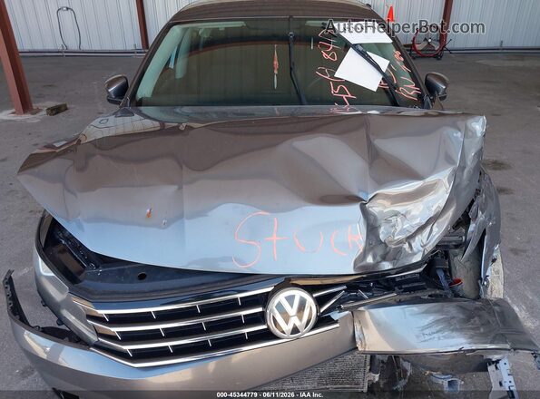 1VWAT7A3XHC002407 2017 VOLKSWAGEN PASSAT Серый 