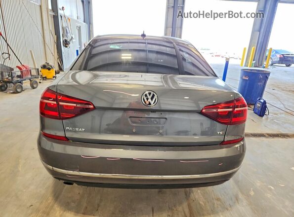 1VWLA7A38KC012097 2019 VOLKSWAGEN PASSAT Gray Rear view