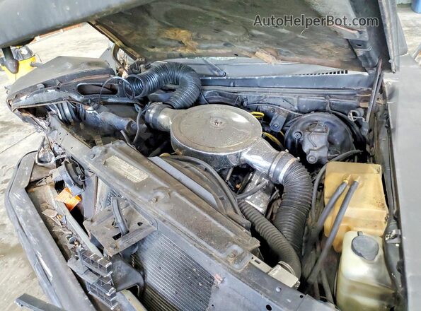 1Y17L5W154005 1975 CHEVROLET NOVA Charcoal Vista interior trasera