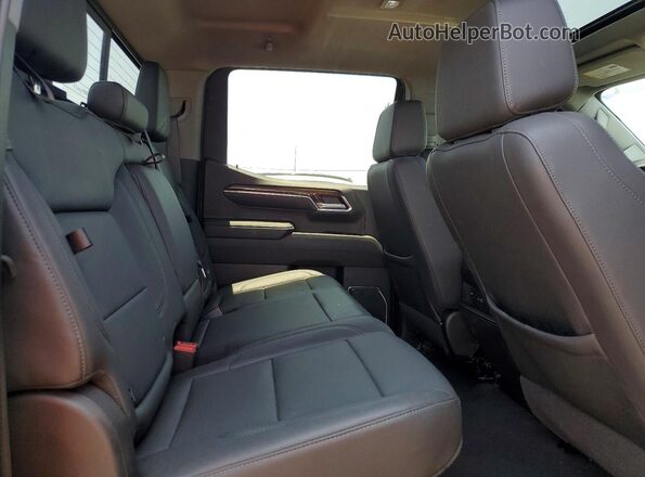 3GCUDFE80RG230895 2024 CHEVROLET SILVERADO Gray Սալոնի հետևի տեսք