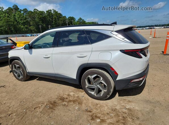 5NMJE3AE2NH024910 2022 HYUNDAI TUCSON Белый Задняя правая четверть