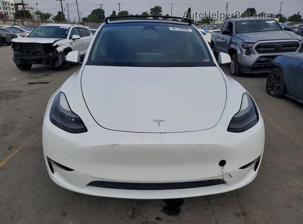 7SAYGAEE1PF881184 2023 TESLA MODEL White 