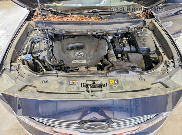 JM3TCBDY4G0108056 2016 MAZDA CX-9 Blue Вид наклейки з VIN-кодом