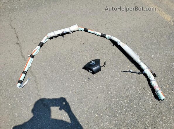 1N4AA6AP3HC373193 2017 NISSAN MAXIMA Silver Widok naklejki z numerem VIN