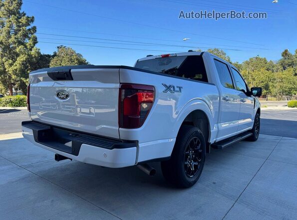 1FTEW3KP0RKD89336 2024 FORD F150 White წინა ხედი