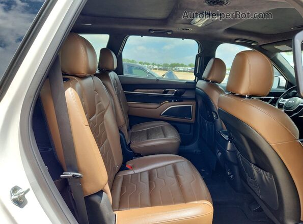5XYP5DHC7LG044887 2020 KIA TELLURIDE Белый Вид подкапотного пространства