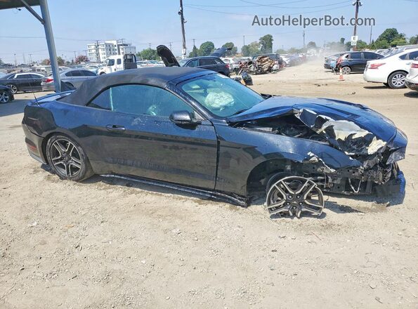 1FATP8UH8K5162428 2019 FORD MUSTANG Black 