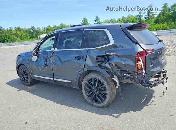 5XYP5DHC4LG060819 2020 KIA TELLURIDE Gray Задня права чверть