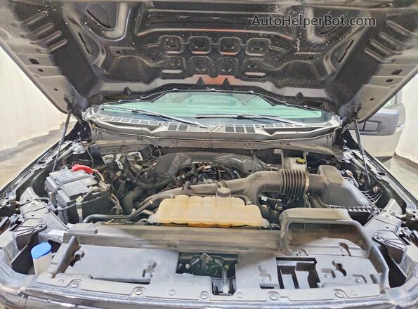 1FTEW3LP5SKE06698 2025 FORD F150 Black Widok wnętrza z tyłu
