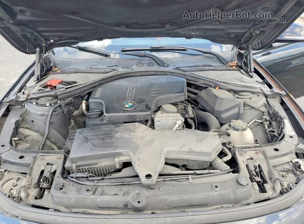 WBA8E9C55GK646615 2016 BMW OTHER Black Vista del compartimento del motor