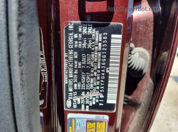 5XYPG4A36GG125583 2016 KIA SORENTO Burgundy 
