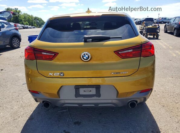 WBXYJ5C37JEB19256 2018 BMW X2 Gold 