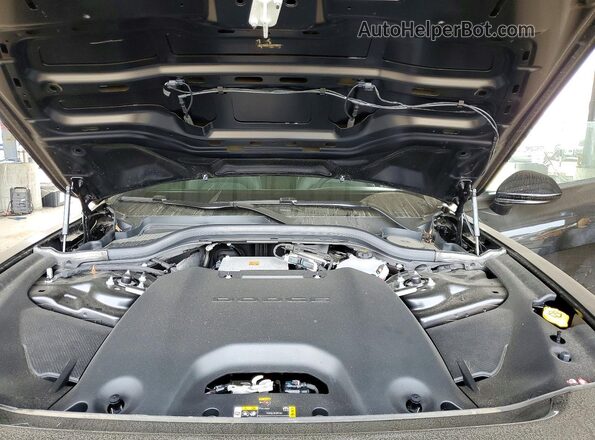 2C3CDBCK5SR543514 2025 DODGE CHARGER Черный Вид задней части салона