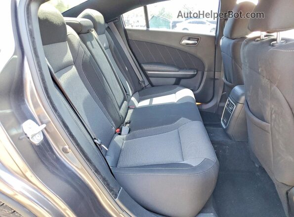 2C3CDXBG3LH186559 2020 DODGE CHARGER Gray Вид задніх сидінь