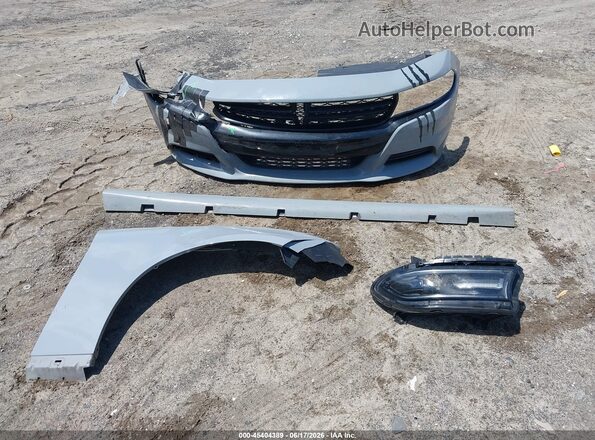 2C3CDXBG4LH219911 2020 DODGE CHARGER Gray Instrument cluster view