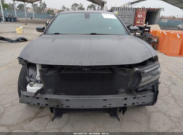 2C3CDXBG7LH229333 2020 DODGE CHARGER Gray Вид задньої частини салону
