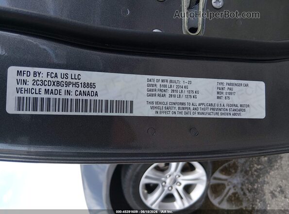 2C3CDXBG9PH518865 2023 DODGE CHARGER Gray Widok komory silnika