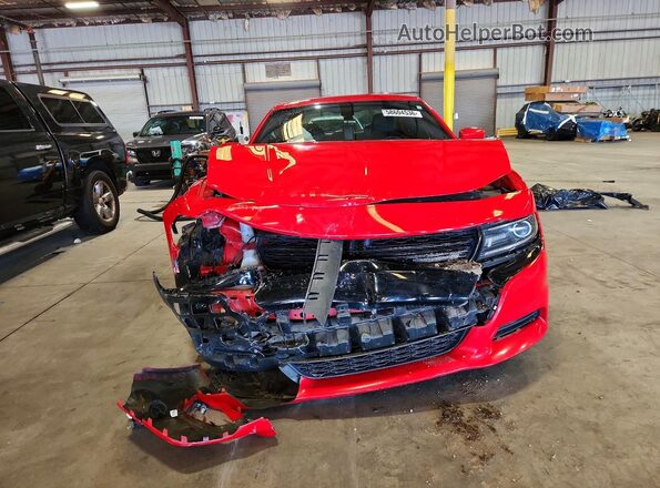 2C3CDXCT3FH902246 2024 DODGE CHARGER Red Widok z przodu