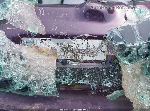 2C3CDXGJ0MH651949 2021 DODGE CHARGER Purple Widok komory silnika