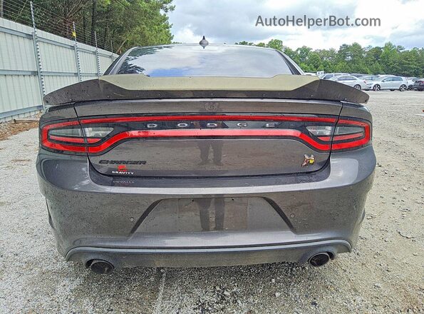 2C3CDXGJ7KH564014 2019 DODGE CHARGER Серый Вид сзади