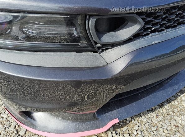 2C3CDXGJ7KH564014 2019 DODGE CHARGER Серый 