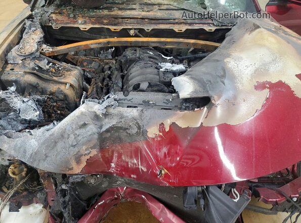 2C3CDXGJ8KH637553 2019 DODGE CHARGER Бордовый 