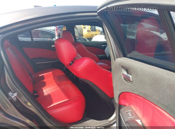 2C3CDXHGXLH245212 2020 DODGE CHARGER Gray Вид наклейки з VIN-кодом
