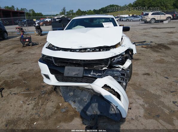2C3CDXJG9JH253602 2018 DODGE CHARGER White Սալոնի հետևի տեսք
