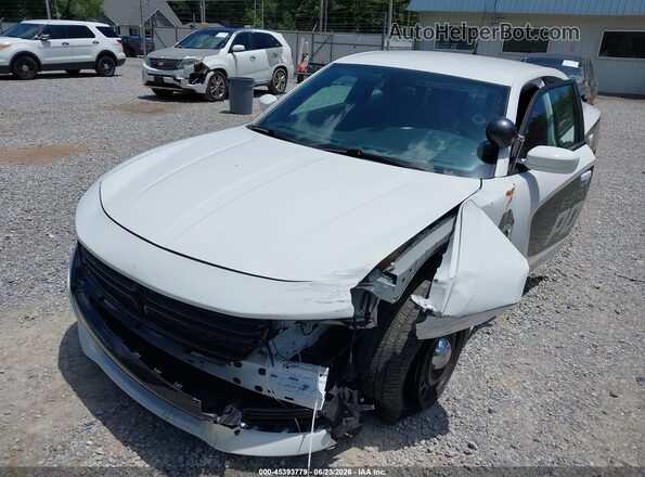 2C3CDXKT4LH130420 2020 DODGE CHARGER Белый 
