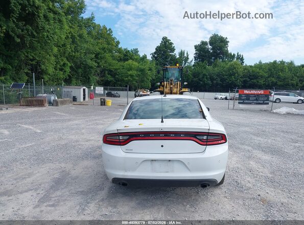 2C3CDXKT4LH130420 2020 DODGE CHARGER Белый 
