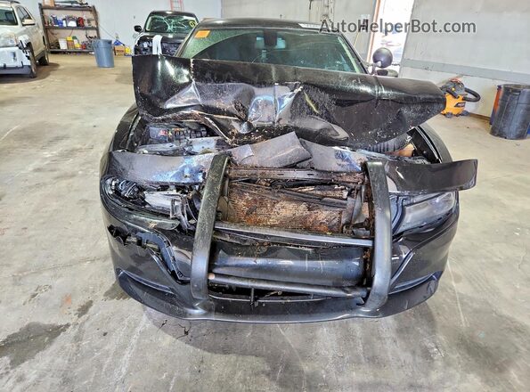 2C3CDXKT9HH596240 2017 DODGE CHARGER Black Vista frontal
