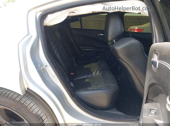 2C3CDXL99LH215756 2020 DODGE CHARGER Silver Widok naklejki z numerem VIN