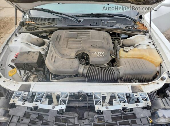 2C3CDZAG2KH531561 2019 DODGE CHALLENGER Белый Вид задней части салона