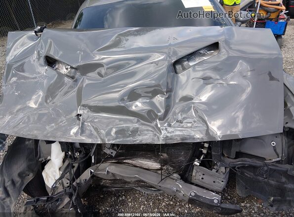 2C3CDZAG5HH598146 2017 DODGE CHALLENGER Gray Widok z tyłu